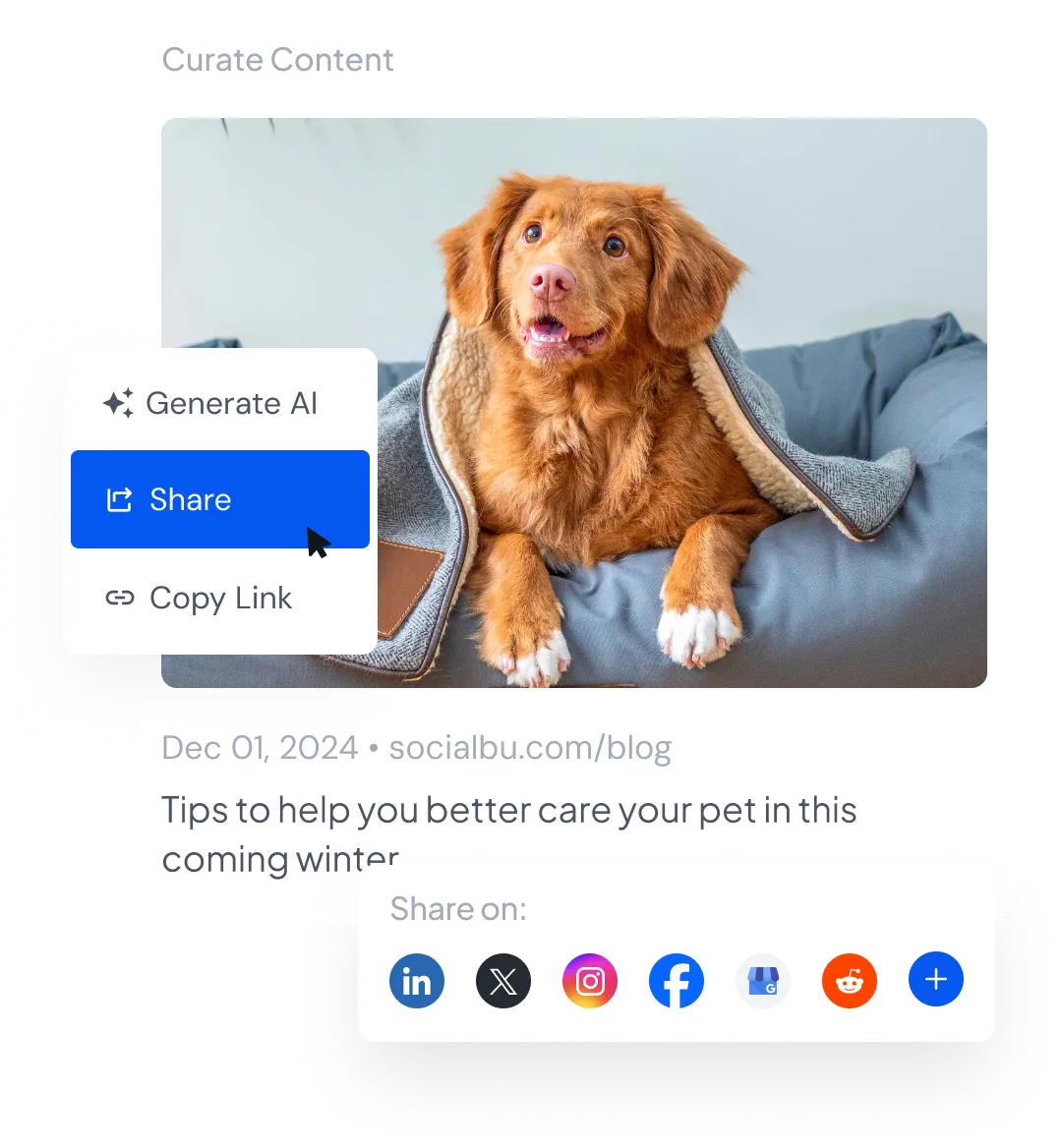 Social media with one click